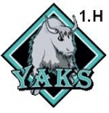 Baseball Landesliga: Yaks sichern sich die Meisterschaft 